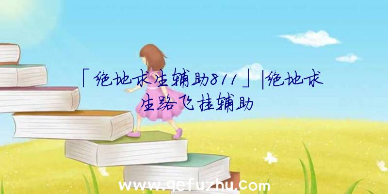 「绝地求生辅助811」|绝地求生路飞挂辅助
